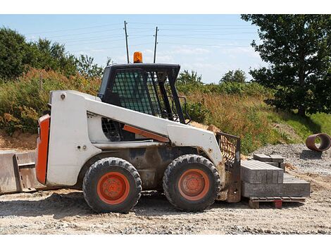 Guincho para Bobcats no Mutinga